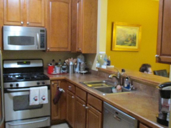 3rd image of 1009 Brush Hill Cir