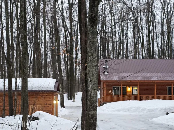 8854 Dellwood Dr, Elmira, MI 49730