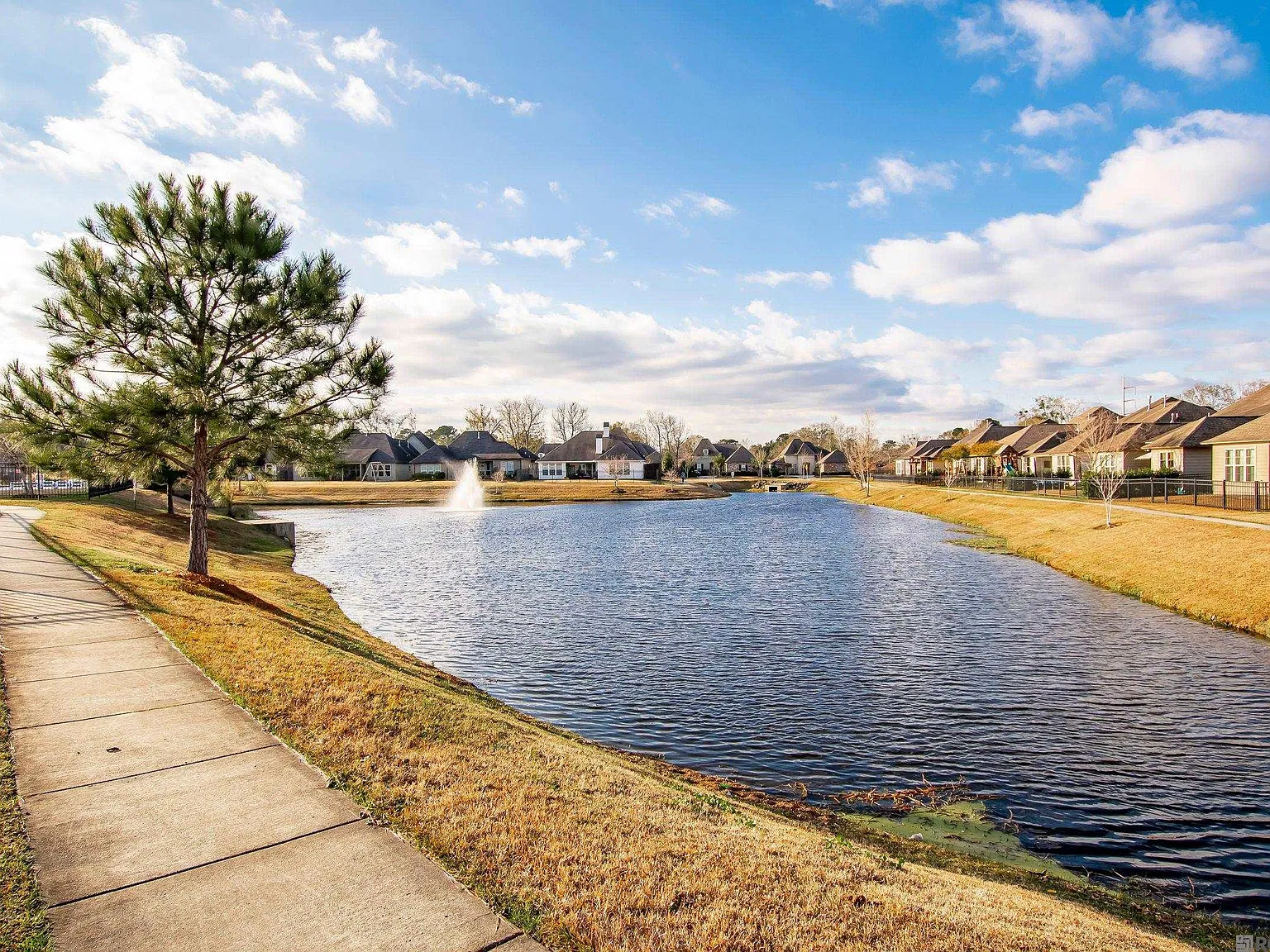 3 bed, 2201 sqft, $2,900 — Photo 4