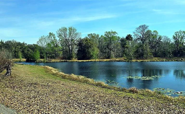 14820 County Road 48 — Photo 12