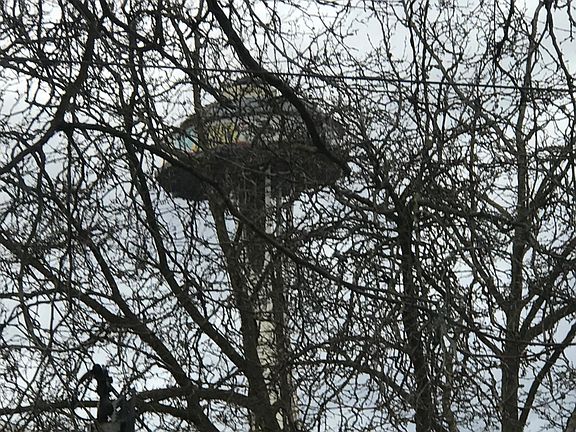 Taken from living room window. Amazing views!