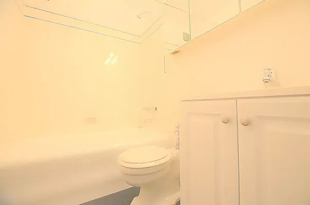 Rented by Manhattan Realty Group | media 3