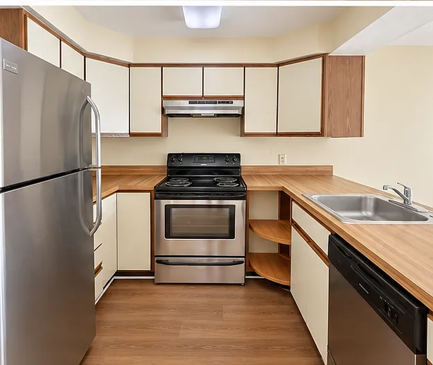 1 bed, 800 sqft, $1,550 — Photo 3