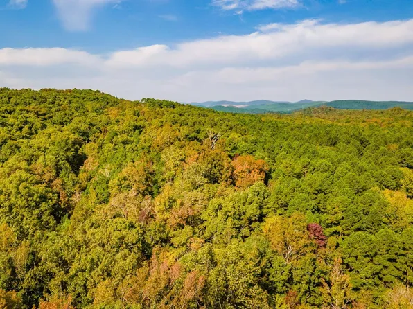 Bandy S, Little Rock, AR 72223