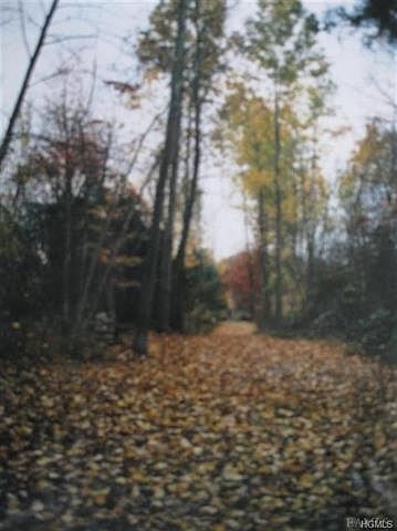 2nd image of 141 Cardinal Rd