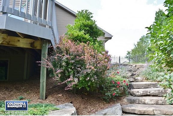 Lush Professional Landscaping