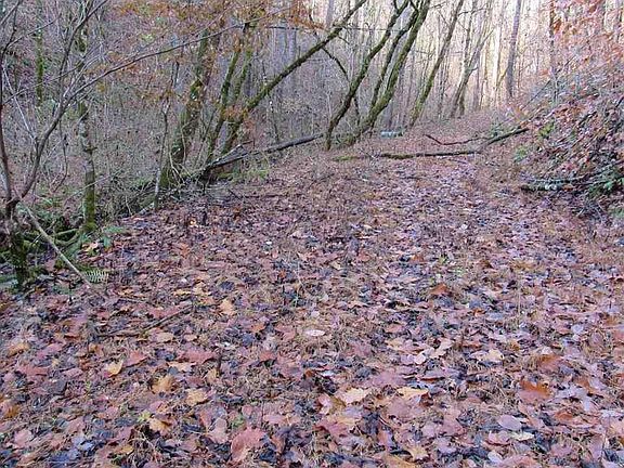 5th image of 0 Wildflower Ln Lot 0
