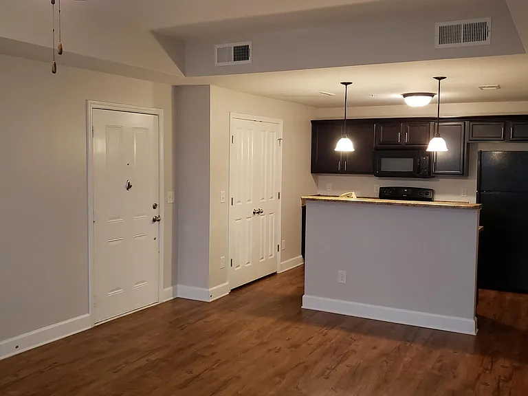 8201 Lenox Creekside Dr #M9 — Photo 10