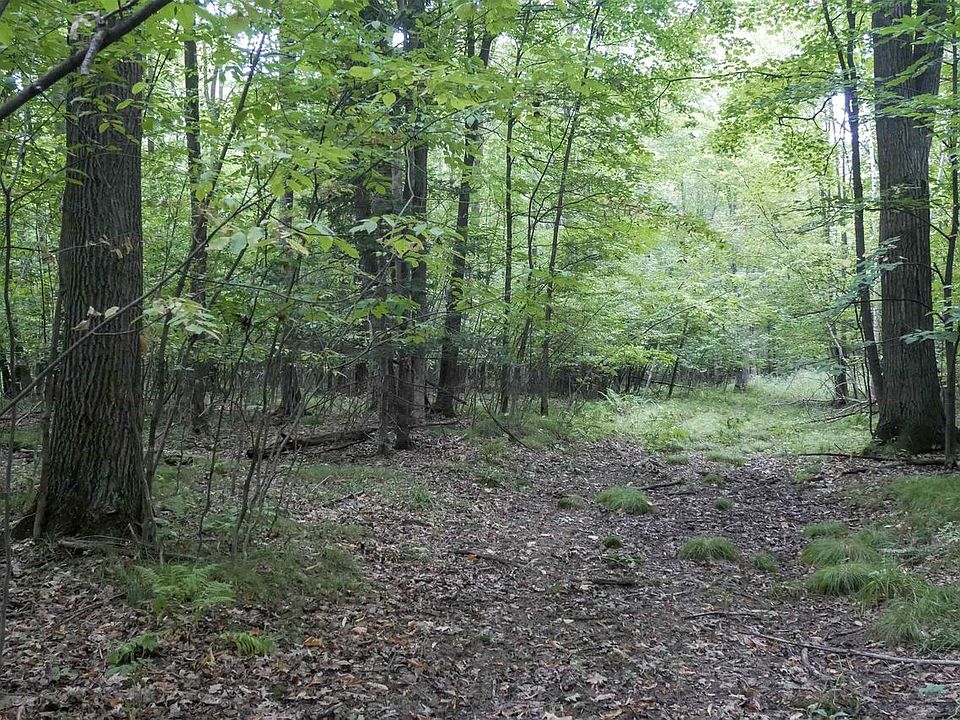 1st image of +/-80 Acres PINE AVENUE