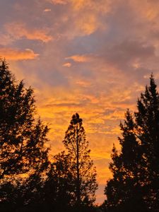 12974 Antler Dr, Klamath Falls, OR, 97603
