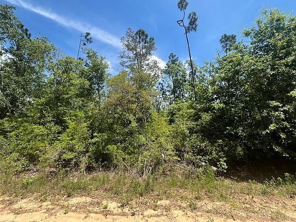 5th image of Tbd Tamarac Road