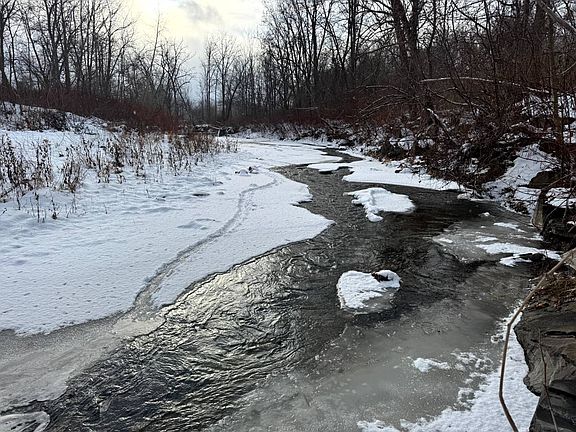 2nd image of 2C Creek Rd #2C