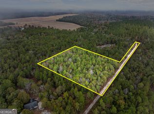 2317 Old Augusta Rd, Clyo, GA 31303