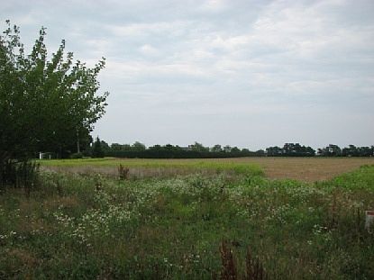 1st image of 41 Brennans Moor