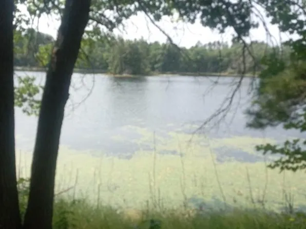 1505 SWALLOW LANE, Lac Du Flambeau, WI 54538