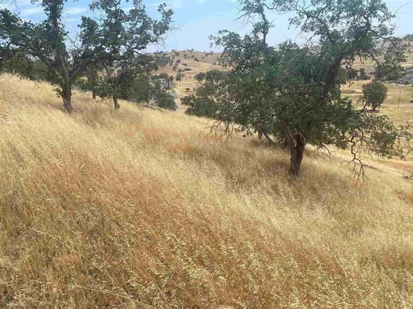 9104 Capullo Cir, La Grange, CA 95329