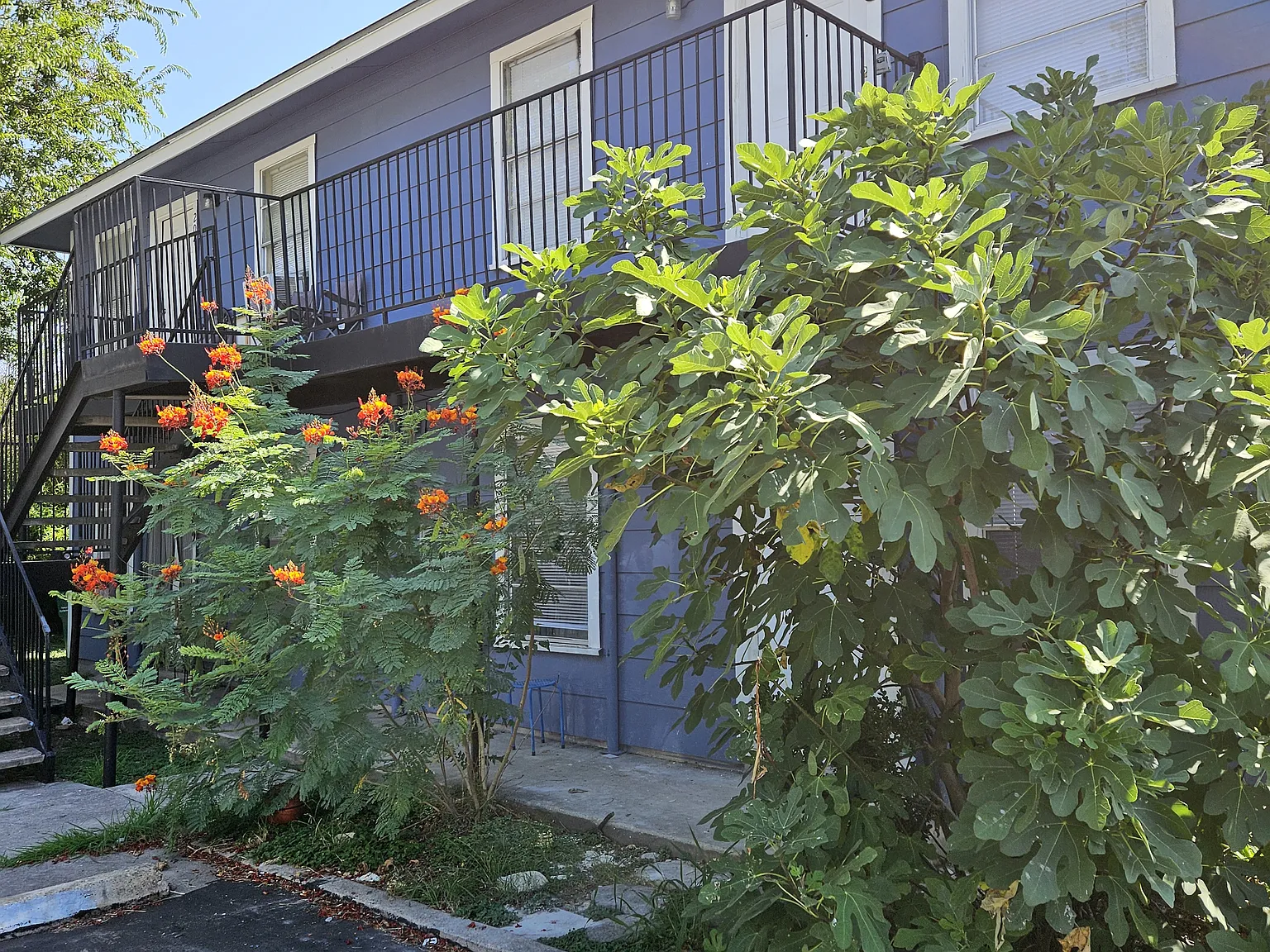 2 bed, 700 sqft, $925 — Photo 2
