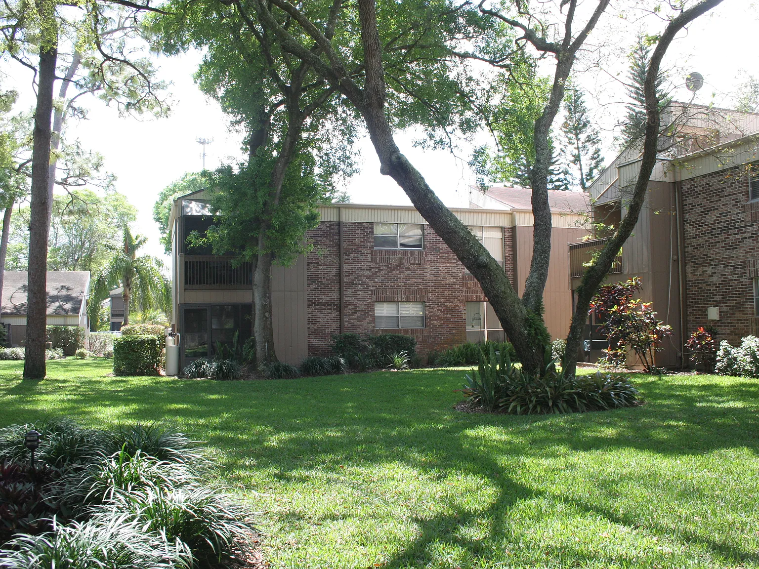 1 bed, 658 sqft, $1,350 — Photo 3