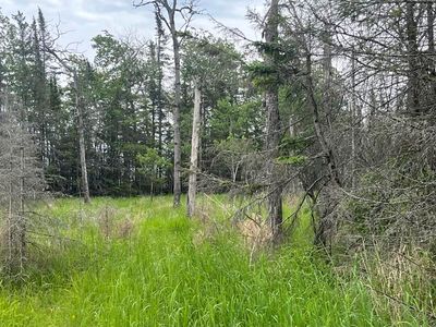 44 E Huron Dr, Pointe Aux Pins, MI, 49775