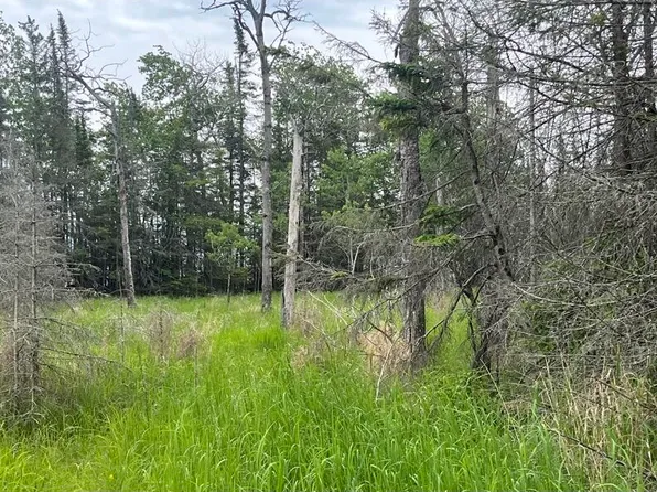 44 E Huron Dr, Pointe Aux Pins, MI 49775