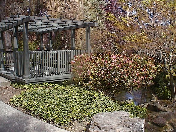 2nd image of 2330 Shelter Creek Ln