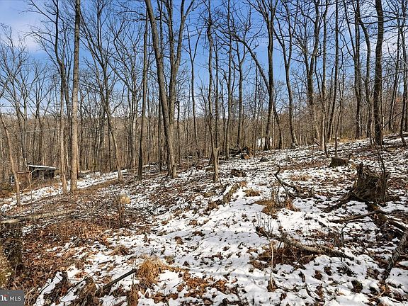 4th image of Lots 123 & 124 Tulip Tree Way