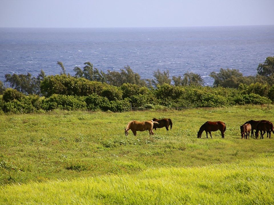 1st image of 52-2635 Kahua Paa Pl Lot 4