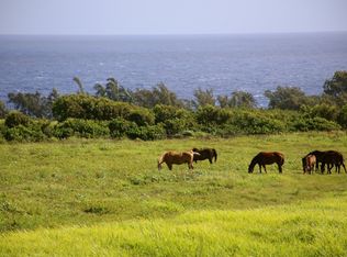 52-2635 Kahua Paa Pl LOT 4, Kapaau, HI 96755