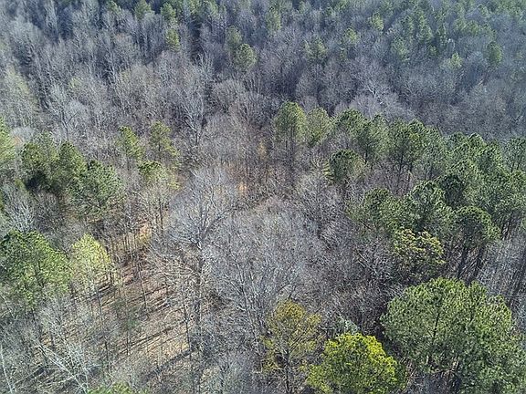 3rd image of 0 Boyds Mill Pond Rd