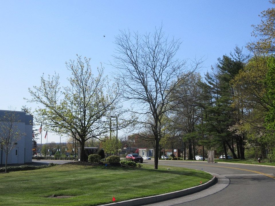 2nd image of 105 Rose Rd