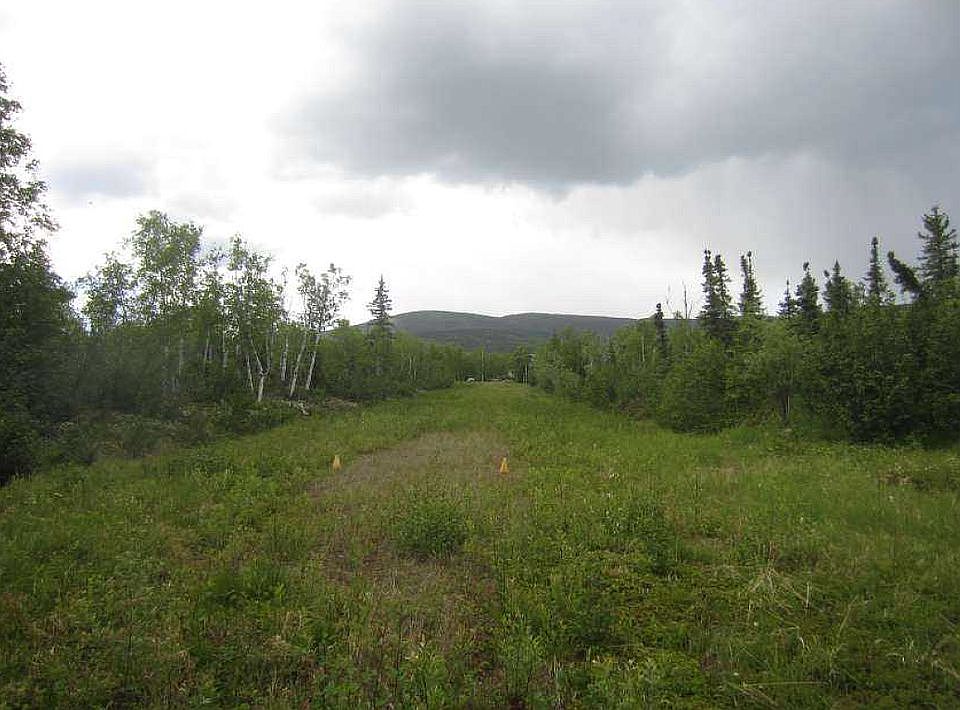 airstrip 