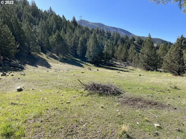 Patterson Dr, Canyon City, OR 97820