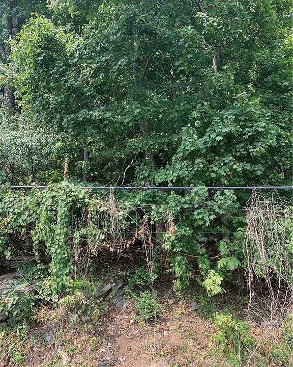 2nd image of River Rd
