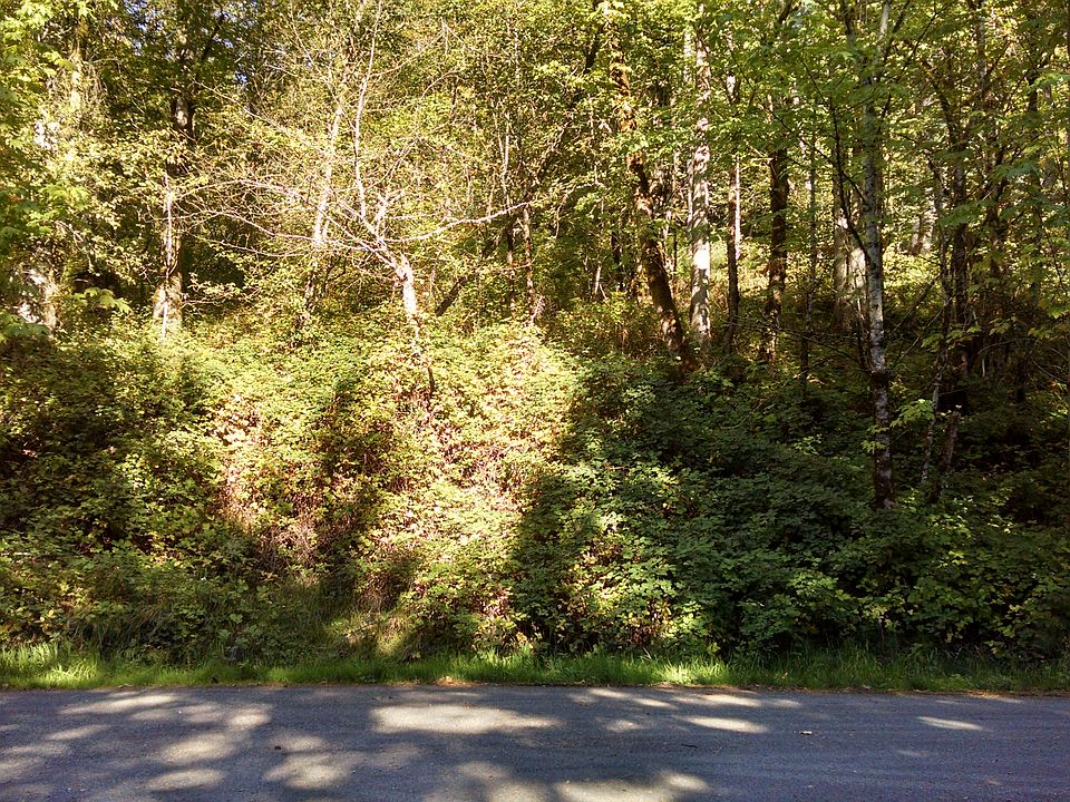 1st image of 24880 SE Mirrormont Blvd