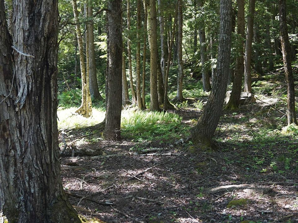 2nd image of Hanover Drive