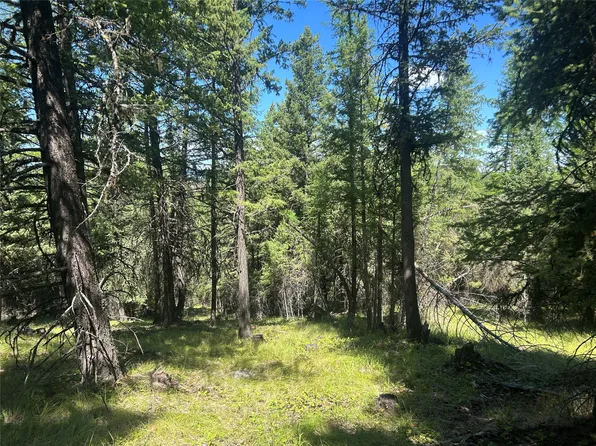 332 Racheals Meadow Ln, Kila, MT 59920
