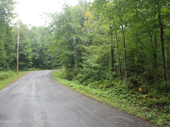 0 Arrowhead Drive, Piseco, NY 12139