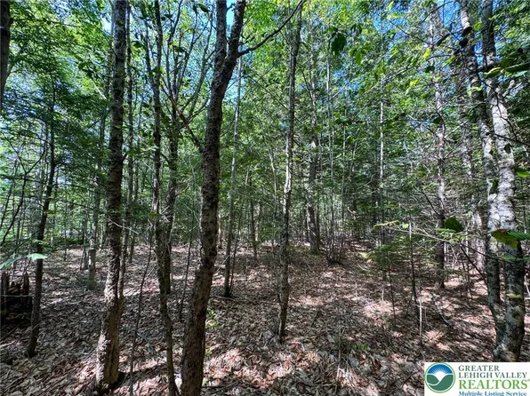 311 Woodland Rd, Albrightsville, PA 18210