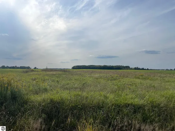S Summerton Rd, Shepherd, MI 48883