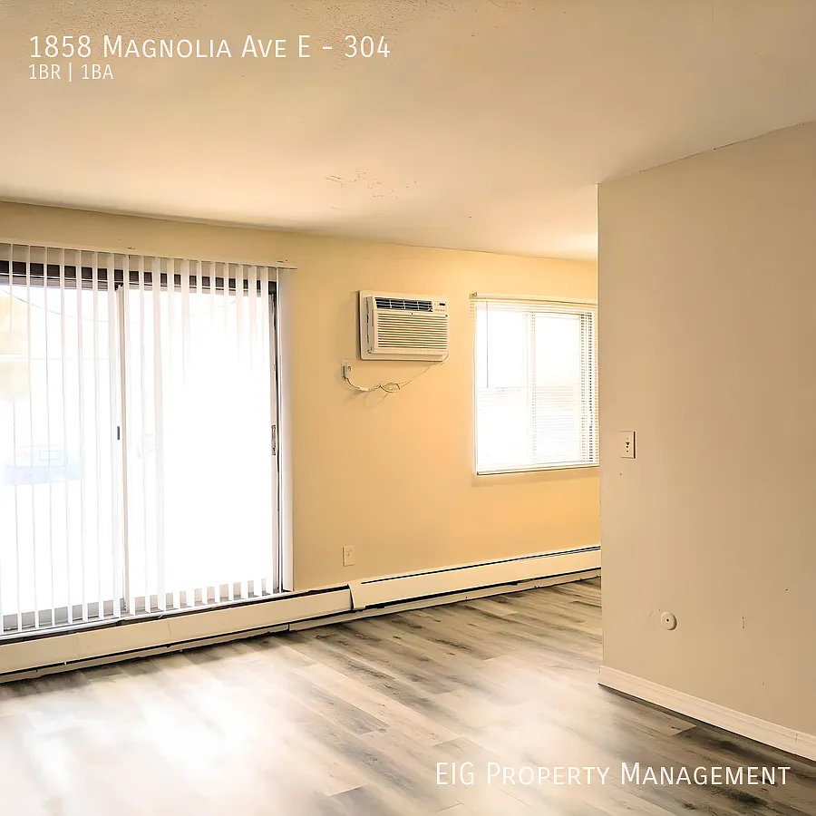 Magnolia — Photo 3