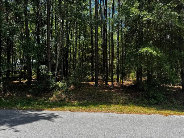 SW 202nd Ct Lot 13, Dunnellon, FL 34431