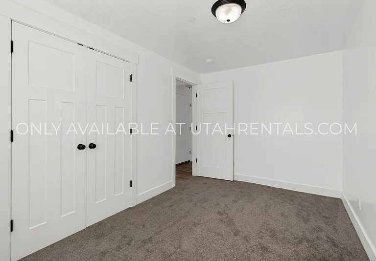 1076 Bear Hollow Ln #BASEMENT — Photo 12
