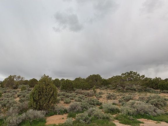 3rd image of Lots 6 & 7 Blk O Cedar Valley Acres