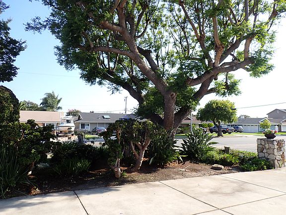 Extended driveway with large tree for shade