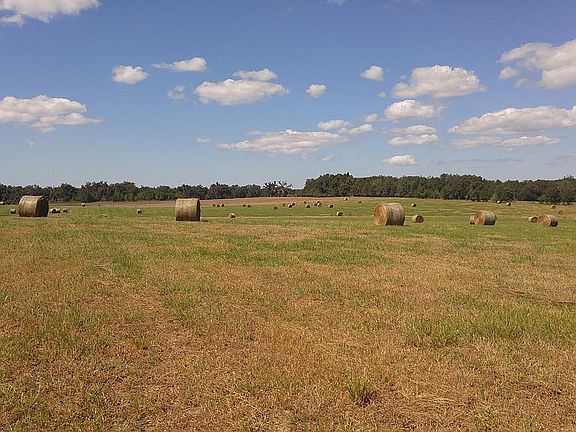 2nd image of 18415 Citrus Way