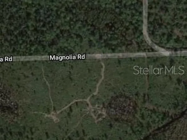 Magnolia Rd, New Smyrna Beach, FL 32168