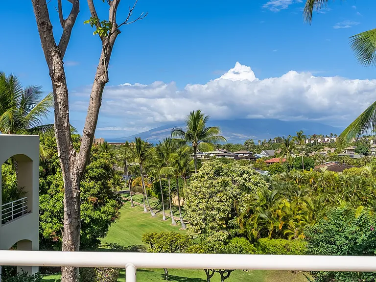 3150 Wailea Alanui Dr #3508 — Photo 4