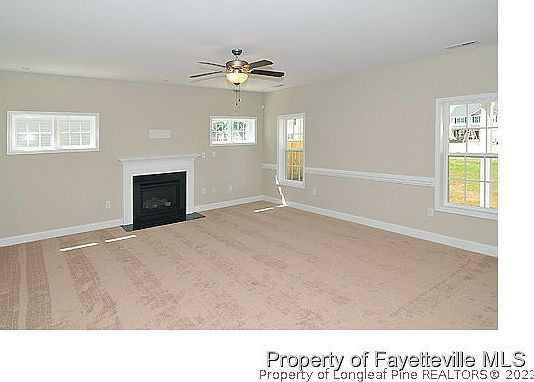 4th image of 313 Fountain Lot 253