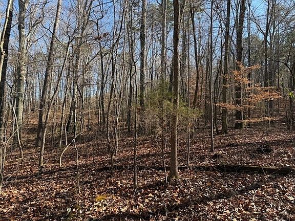 3rd image of 2 County Road 751
