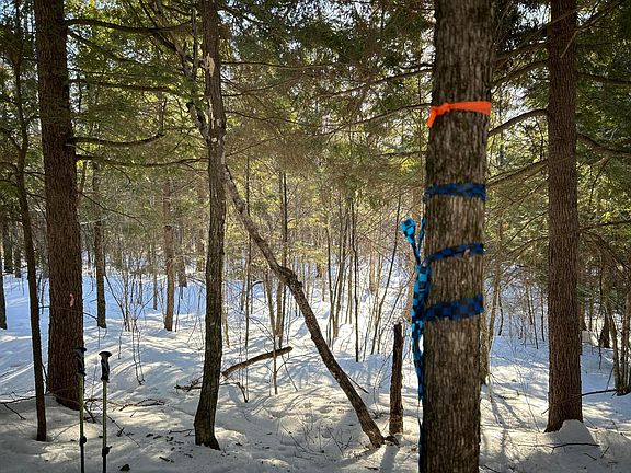 3rd image of M7L31 Nelson Ridge Road N